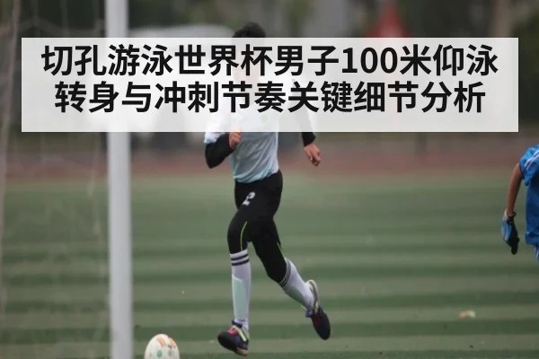 切孔游泳世界杯男子100米仰泳转身与冲刺节奏关键细节分析